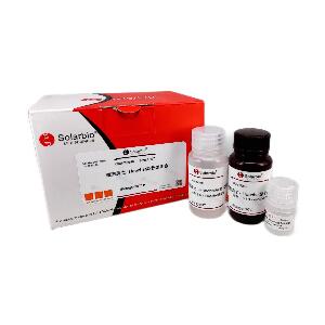 细胞凋亡-Hoechst染色试剂盒