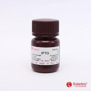异丙基-β-D-硫代半乳糖苷 IPTG,367-93-1