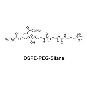 二硬脂酰基磷脂酰乙醇胺-聚乙二醇-硅烷；DSPE-PEG-Silane