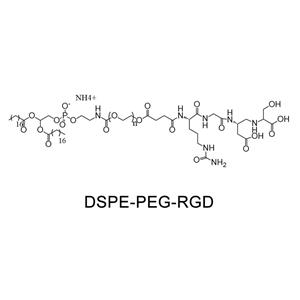二硬脂酰基磷脂酰乙醇胺-聚乙二醇-多肽；DSPE-PEG-RGD