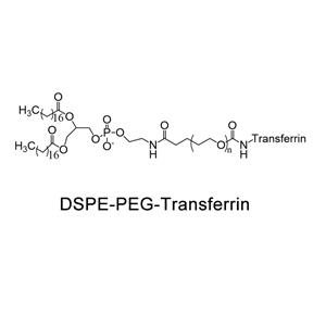 二硬脂酰基磷脂酰乙醇胺-聚乙二醇-转铁蛋白；DSPE-PEG-Transferrin