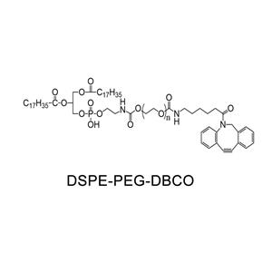 二硬脂酰基磷脂酰乙醇胺-聚乙二醇-二苯基环辛炔；DSPE-PEG-DBCO