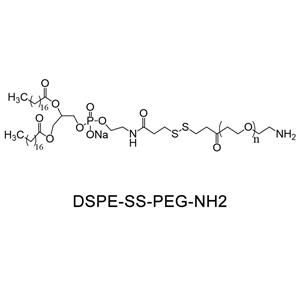 二硬脂酰基磷脂酰乙醇胺-双硫键-聚乙二醇-氨基；DSPE-SS-PEG-NH2