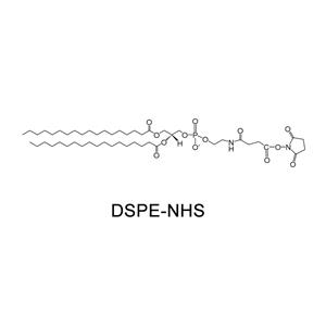 磷脂改性活性酯/琥珀酰亚胺；DSPE伯氨基改性活性基团；DSPE-NHS