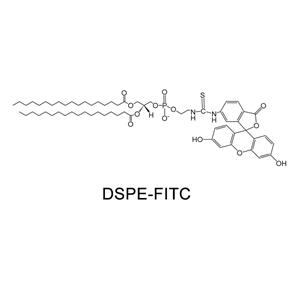 磷脂改性荧光素；DSPE-FITC；磷脂-荧光素标记