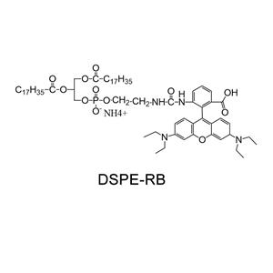 磷脂改性罗丹明；DSPE-Rhodamine；DSPE-RB