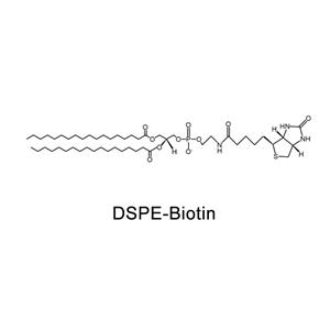 磷脂改性生物素；DSPE-Biotin