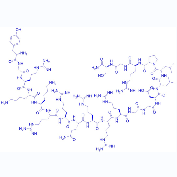 功能性细胞穿膜肽P110,P110