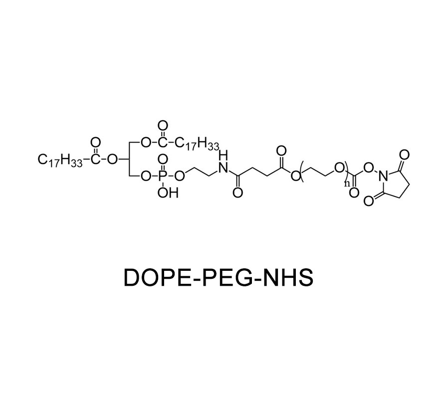 1,2-二油酰-SN-甘油-3-磷酰乙醇胺-聚乙二醇-活性酯,DOPE-PEG-NHS