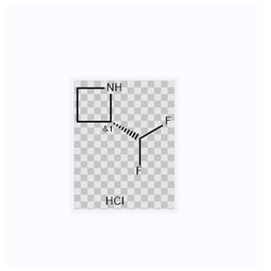 (S)-2-二氟甲基氮杂环丁烷盐酸盐