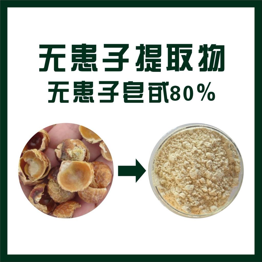 無患子70%,Sapindus mukorossi extract