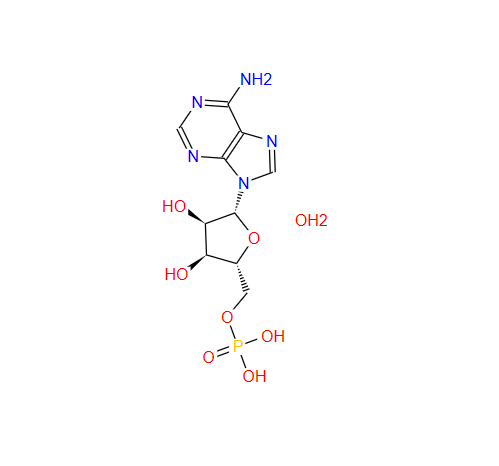 腺苷-5'-单磷酸一水合物,Adenosine 5'-monophosphate monohydrate