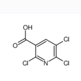 2,5,6-三氯烟酸,2,5,6-tetrachloropyridine