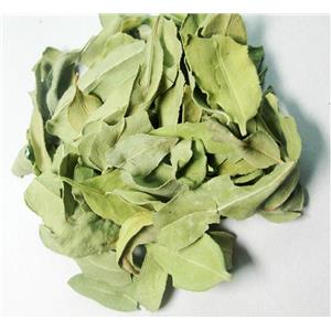 罗布麻叶多糖黄酮皂苷多糖多酚生物碱挥发油等提取树脂纯化成分分离定制及检测