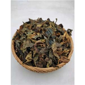 昆布黄酮皂苷多糖多酚生物碱挥发油