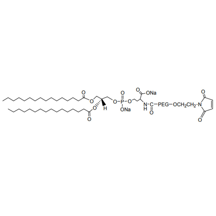 磷脂酰丝氨酸-聚乙二醇-马来酰亚胺,Phosphatidylserine-PEG-Maleimide;PS-PEG-Mal