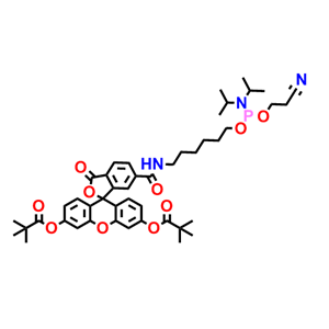 5'-荧光素氨基磷酸酯