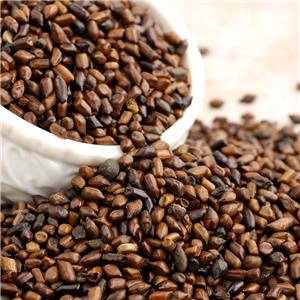 决明子黄酮皂苷多糖多酚生物碱挥发油