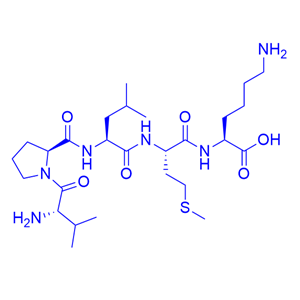 Bax抑制剂肽V5/579492-81-2/Bax inhibitor peptide V5