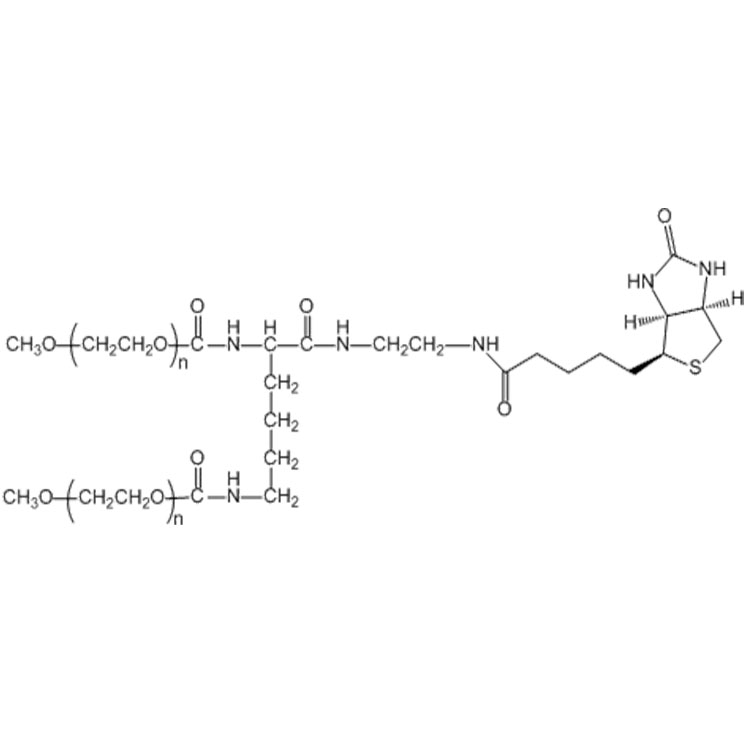 二臂-聚乙二醇-生物素,2-Arm-PEG-Biotin;2-Branched-PEG-Biotin