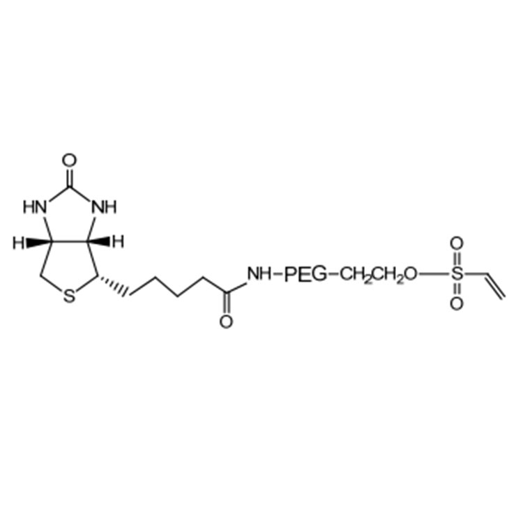 乙烯砜-聚乙二醇-生物素,Vinylsulfone-PEG-Biotin; VS-PEG-Biotin