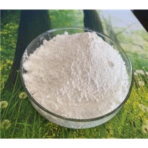 载银磷酸锆(Ag-ZrP)；磷酸锆载银抗菌剂,Silver-loaded zirconium phosphate