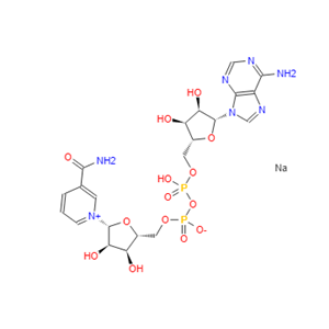 烟酰胺腺嘌呤二核苷酸钠盐 20111-18-6