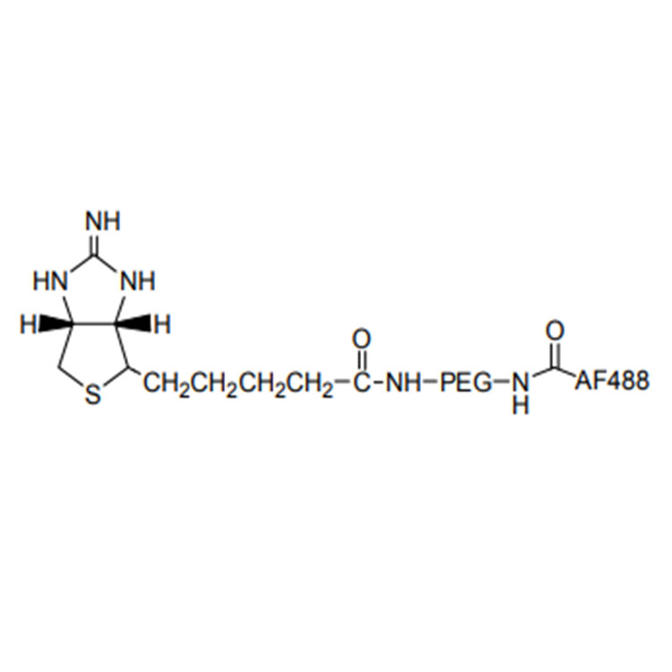 AF488-聚乙二醇-生物素,Alexa fluor 488-PEG-Biotin;AF488-PEG-Biotin