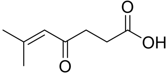 6-甲基-4-氧代庚烷-5-烯酸,6-methyl-4-oxohept-5-enoic acid