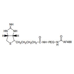 AF488-PEG-Biotin，AF488-聚乙二醇-生物素