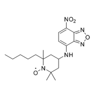 1955505-54-0严格的结构表征