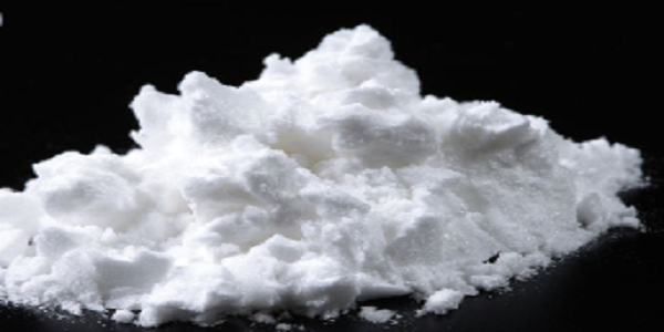 Bradykinin-Like Neuropeptide (3-11) (Aplysia californica)