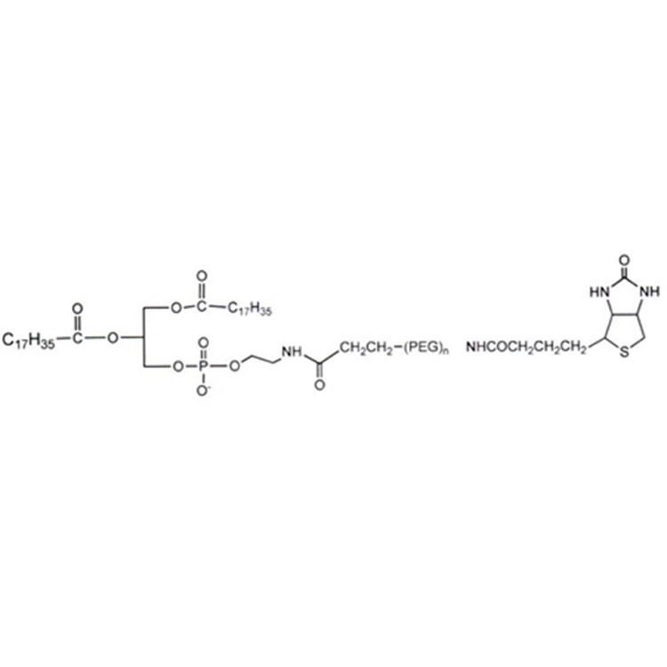 磷脂-聚乙二醇-生物素,DSPE-PEG-Biotin;Biotin-PEG-DSPE