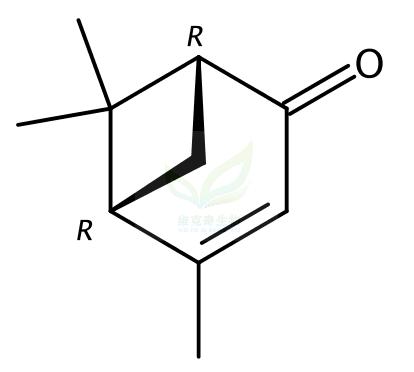 马鞭草烯酮,Verbenone