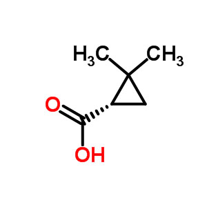 (S)-(+)-2,2-二甲基环丙甲酸乙酯,(S)-(+)-2,2-Dimethylcyclopropane Carboxylic Acid
