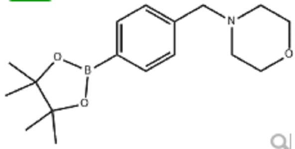 4-[4-(4,4,5,5-Tetramethyl-1,3,2-dioxaborolan-2-yl)benzyl]morpholine