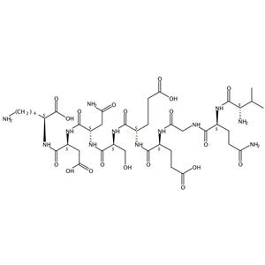 Sclavo peptide   106021-96-9