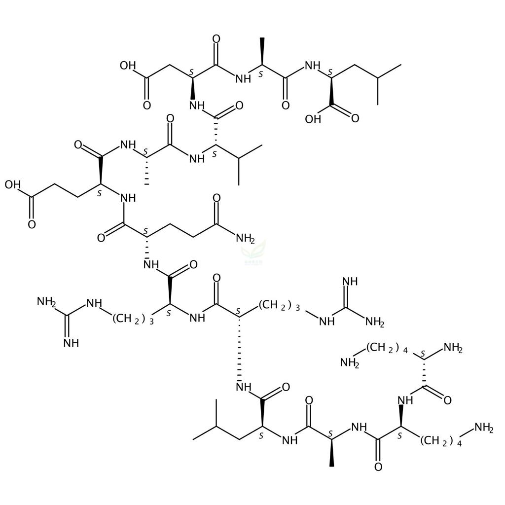 Autocamtide-2-related inhibitory peptide