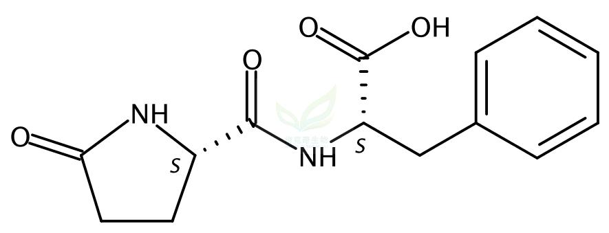 5-氧代-L-脯氨酰-L-苯丙氨酸,Pyroglutamyl-L-phenylalanine