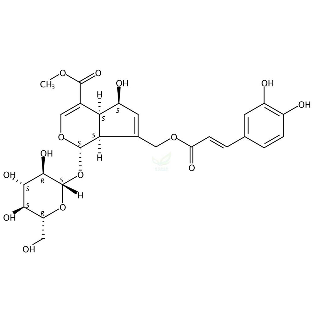 10-O-咖啡酰基-脱乙酰基交让木苷,10-O-Caffeoyl deacetyldaphylloside