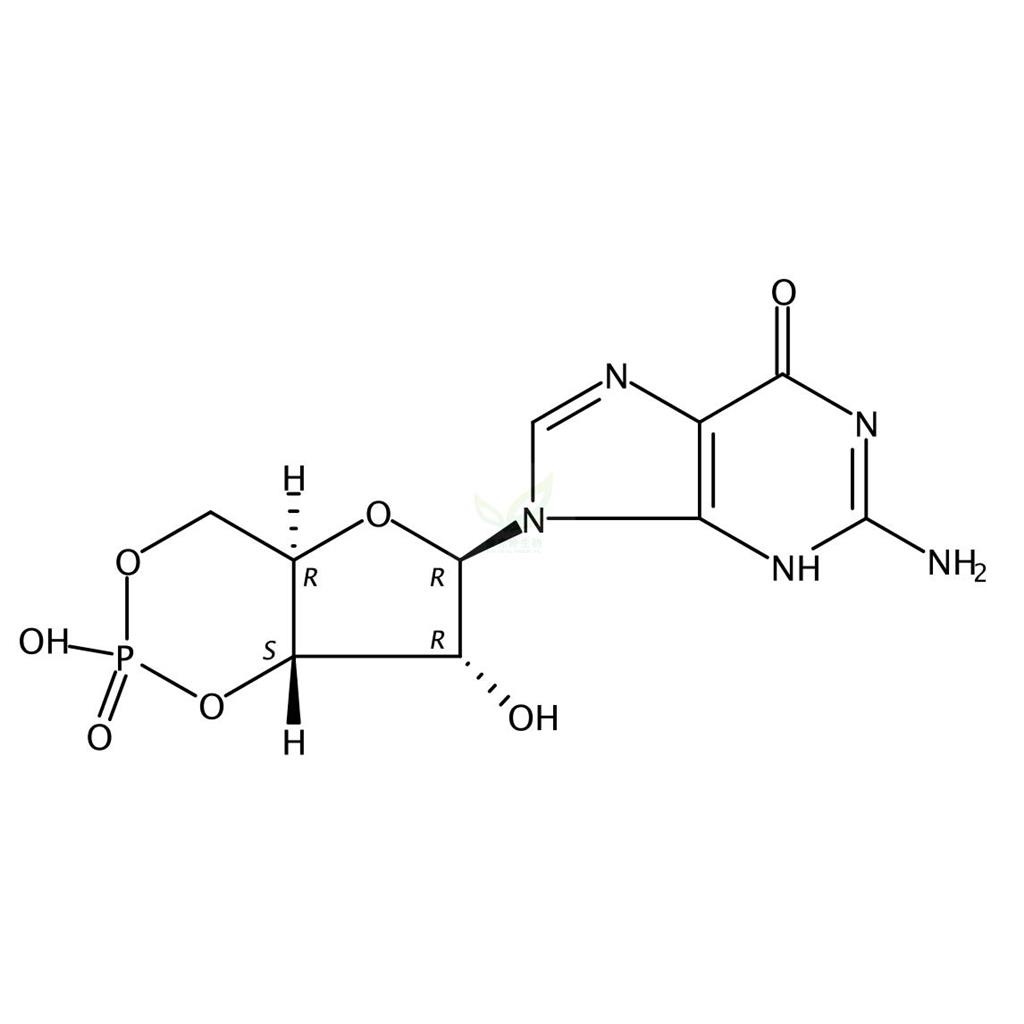 鸟苷3′,5′-环状单磷酸酯,Guanosine 3′,5′-phosphate (cyclic)