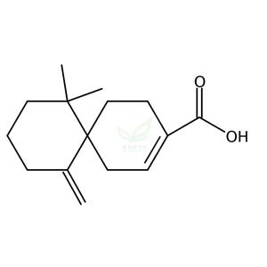 花柏烯酸  β-Chamigrenic acid  1174388-31-8