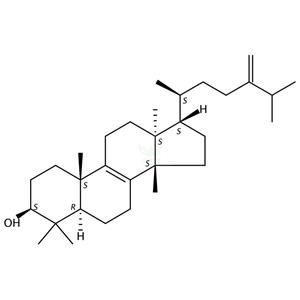 大戟醇  Euphorbol  566-14-3