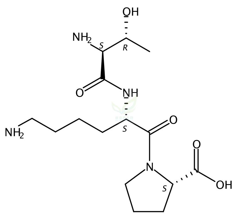 MIP