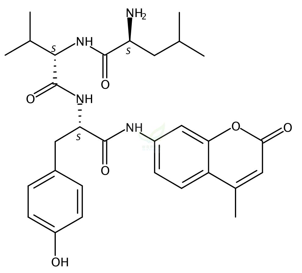 H-亮氨酰-纈氨酰-酪氨酰-7-氨基-4-甲基香豆素