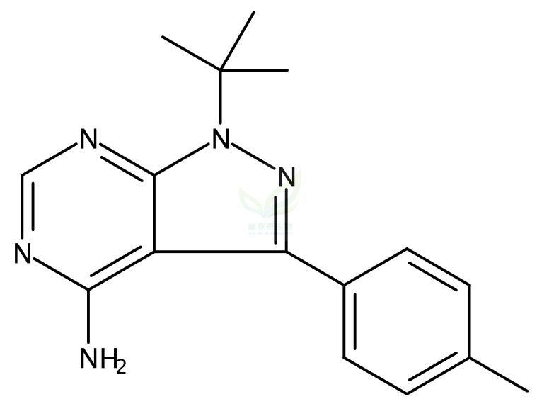 蛋白磷酸酯酶-1(抗原),PP1