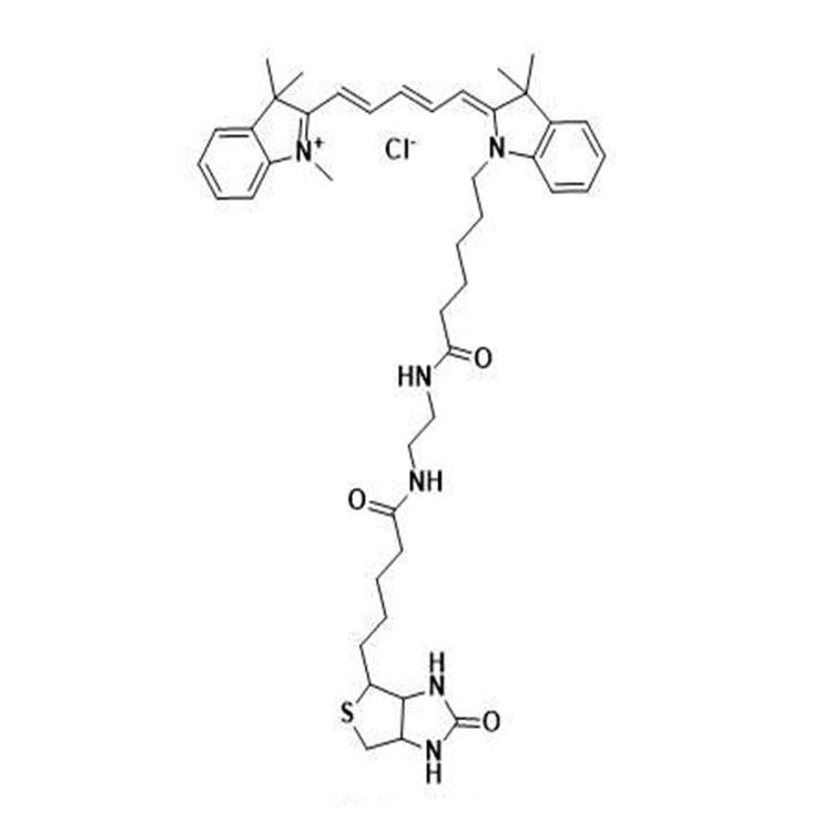 花青素Cy5-生物素,Cy5 Biotin;Cyanine5 Biotin