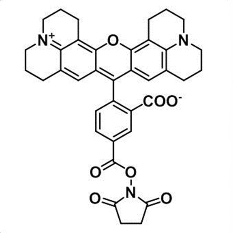 5-ROX-琥珀酰亚胺酯,ROX NHS ester, 5-isomer