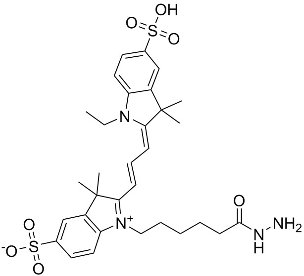 Cy3-酰肼,Cy3 Hydrazide