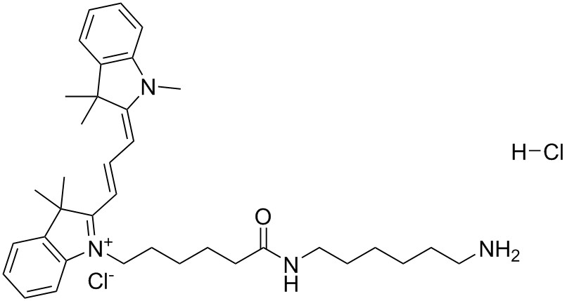 Cy3胺,Cy3 Amine